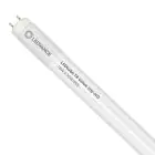 Ledvance LED Buis T8 Value (UN) High Output 18W 2000lm - 865 Daglicht | 120cm - Vervangt 36W